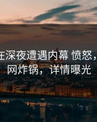 当事人在深夜遭遇内幕 愤怒，91网全网炸锅，详情曝光