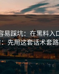 新手最容易踩坑：在黑料入口看网红黑料前：先用这套话术套路检查法