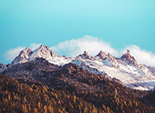 做内容的朋友提醒我：51网网址为什么你总刷到同一类内容？多半是分类命名没弄明白（不服你来试）