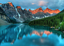 51网在线观看：揭开被忽略的真相，网络传播背后的故事