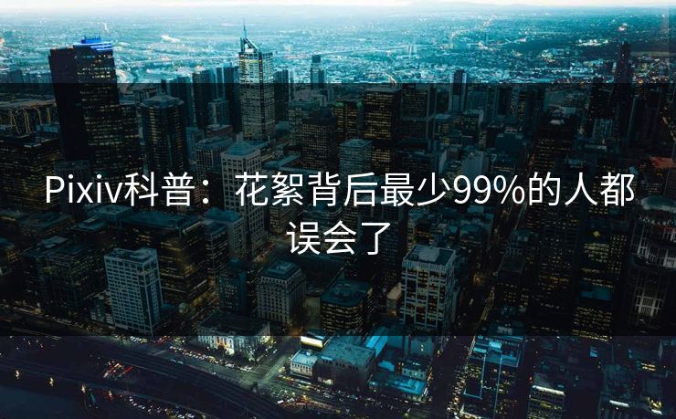 Pixiv科普：花絮背后最少99%的人都误会了