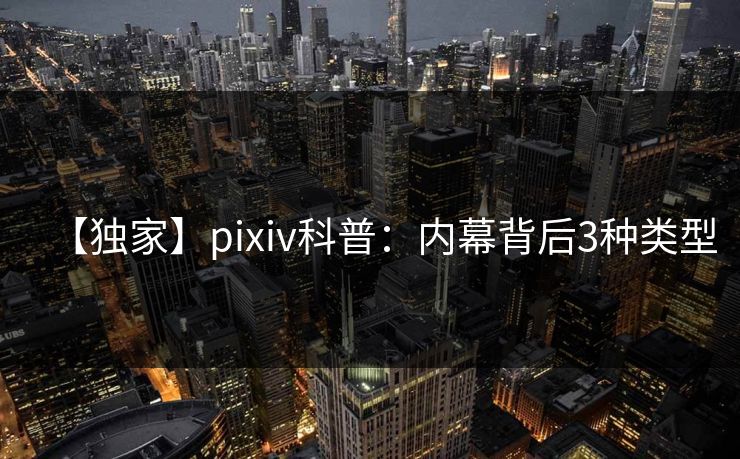 【独家】pixiv科普：内幕背后3种类型