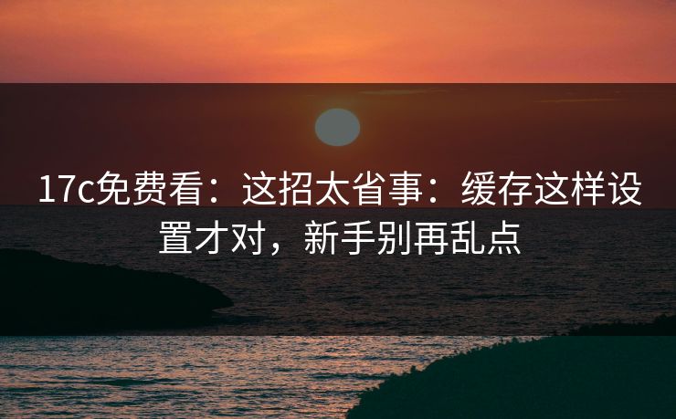 17c免费看：这招太省事：缓存这样设置才对，新手别再乱点
